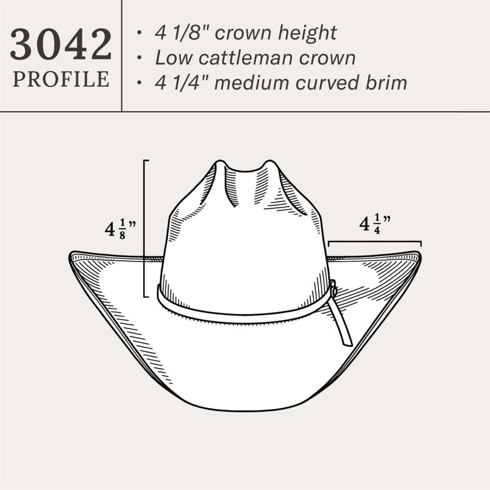 Baker 10X Straw Cowboy Hat Natural | Men/Women Stetson Western