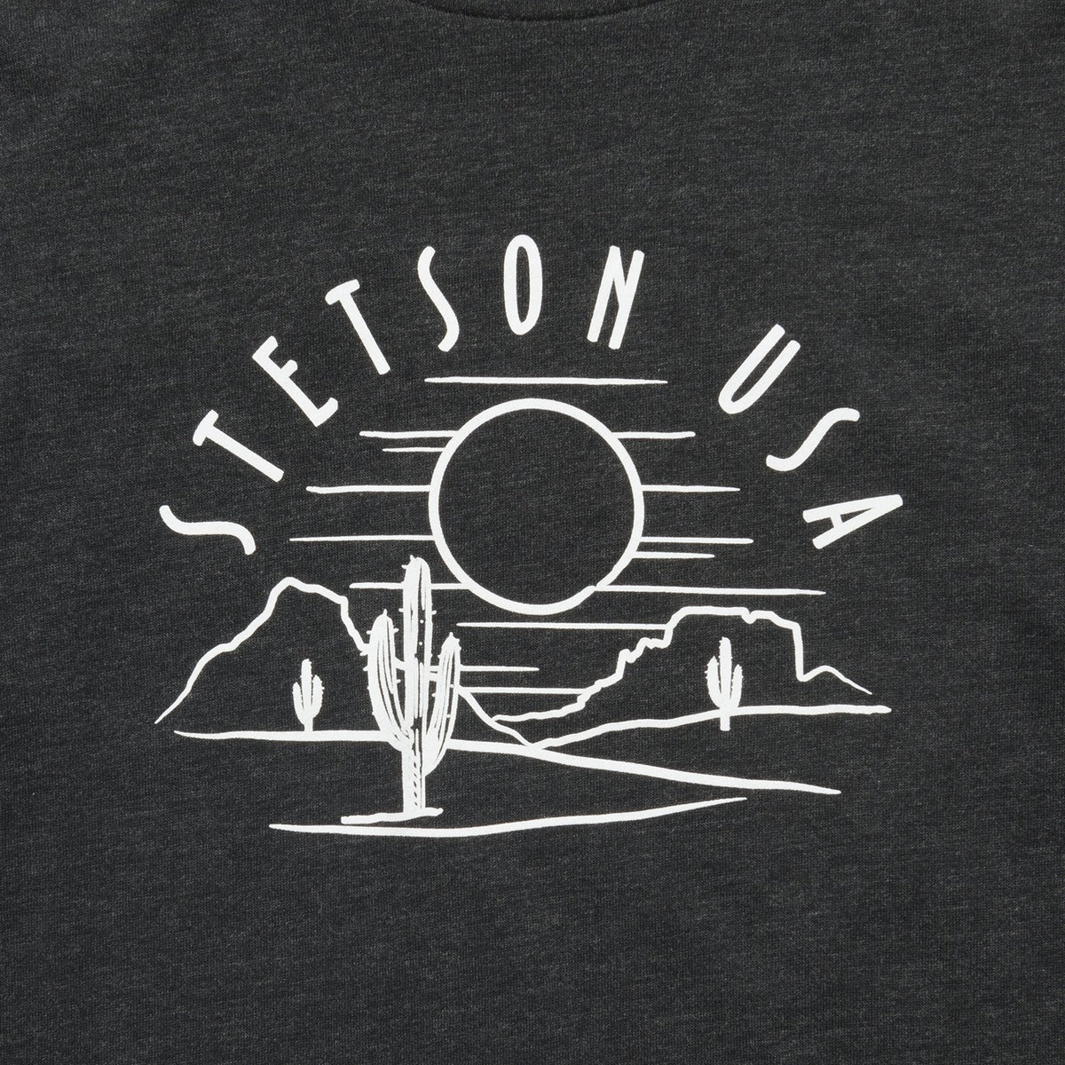 Cactus And Sunset Graphic Tee Black