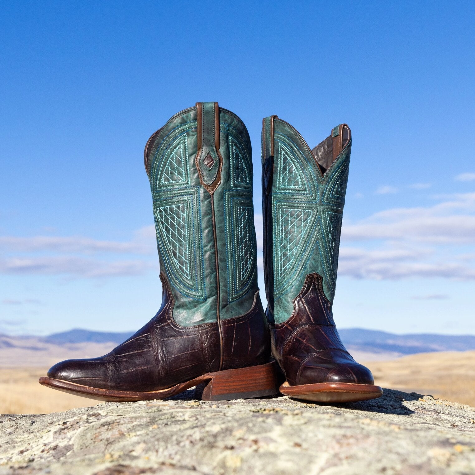 Big Horn Tobacco Alligator Cowboy Boot Brown