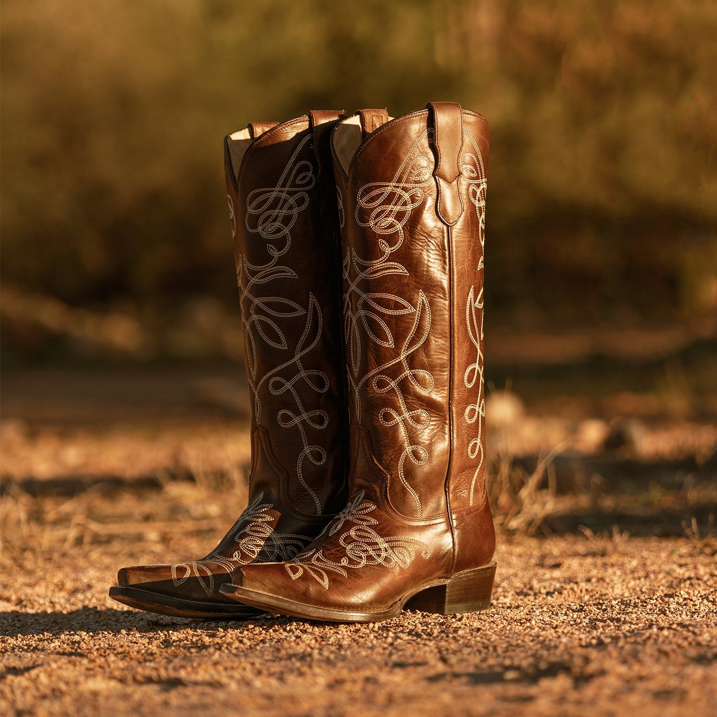 Adeline Burnished Brown Back Zip Cowboy Boot Brown