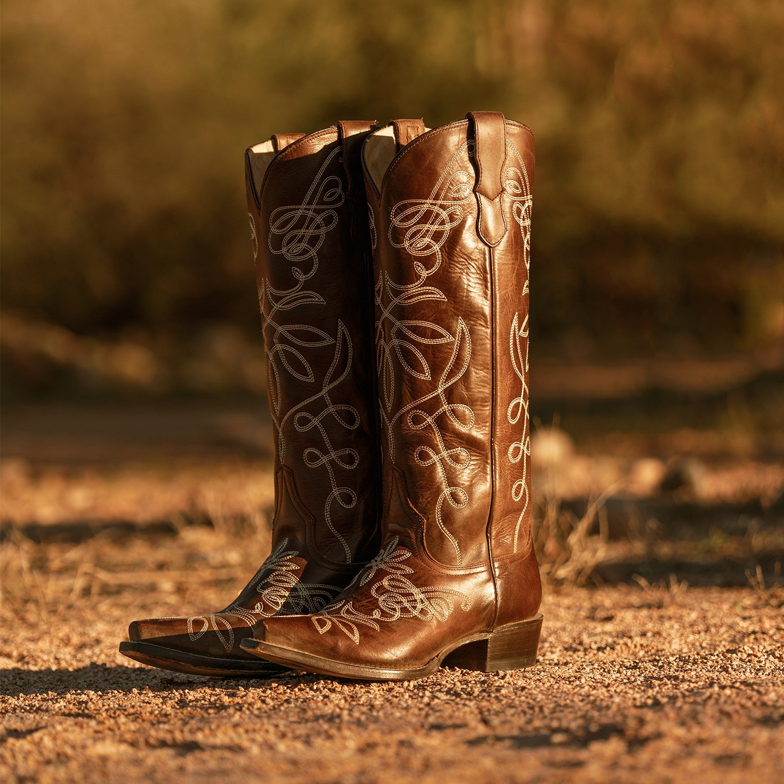 Adeline Burnished Brown Back Zip Cowboy Boot Brown