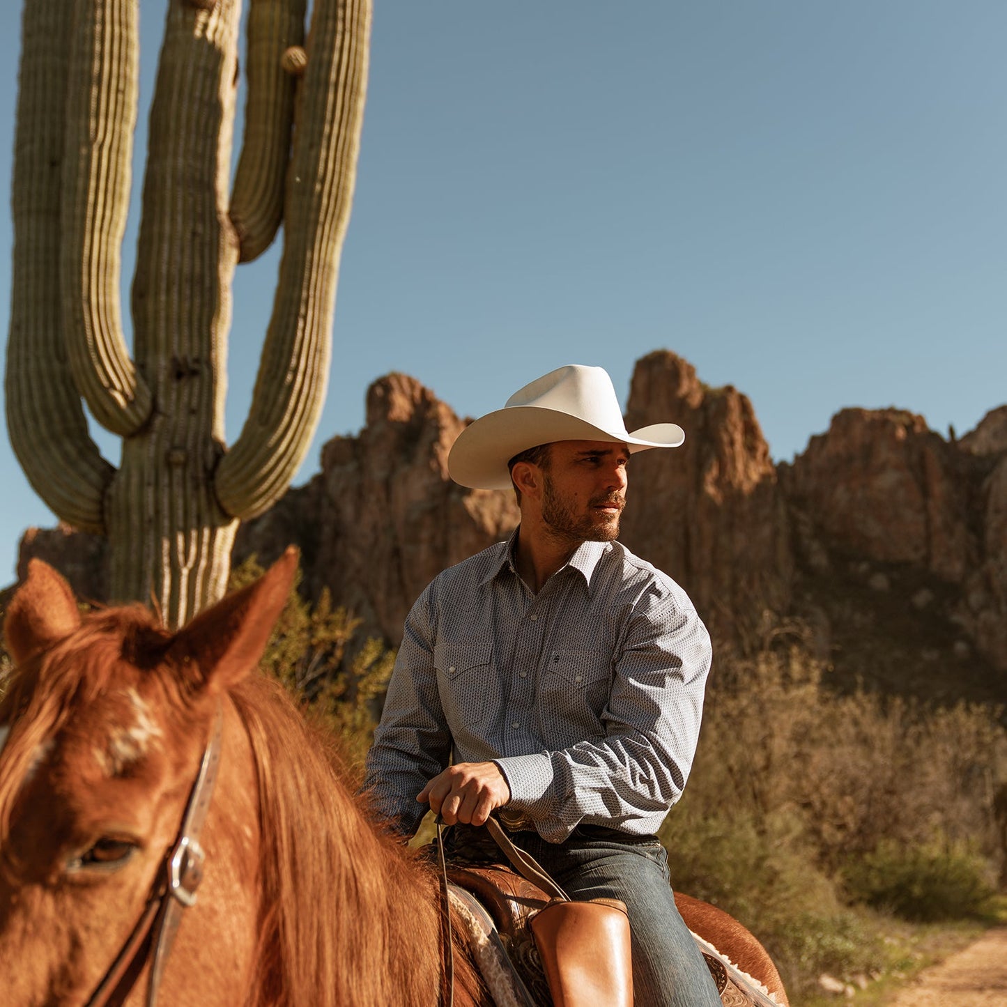 Shasta 10X Premier Cowboy Hat White