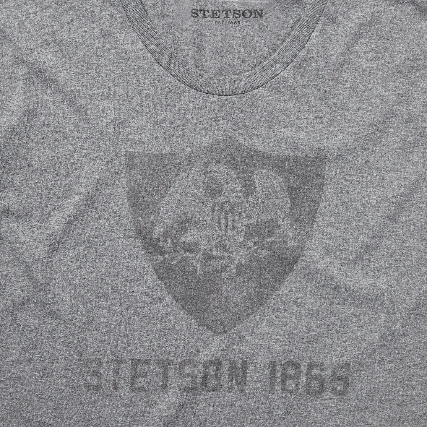 Vintage Eagle Graphic Tee Grey