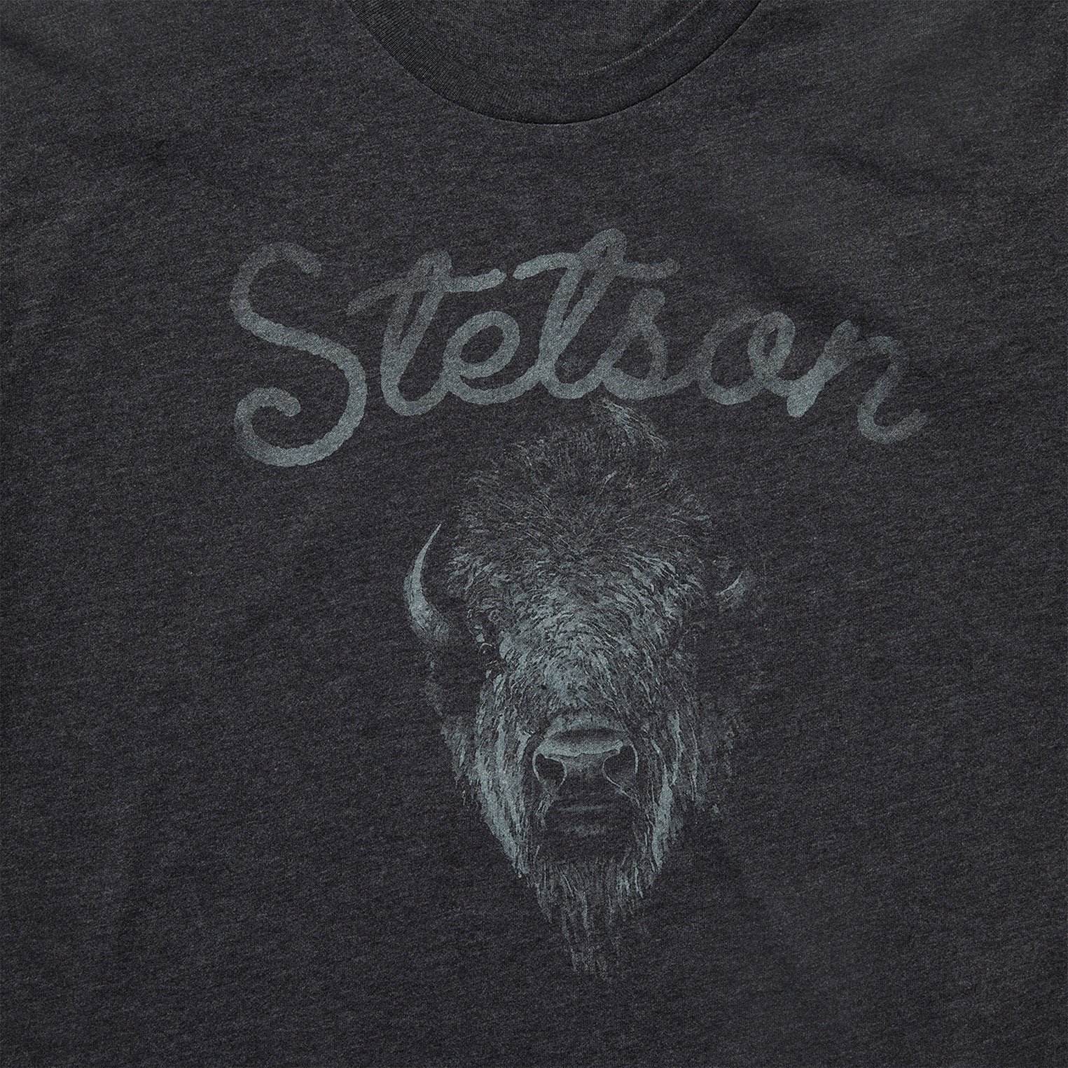 Bison Spirit Graphic Tee Black