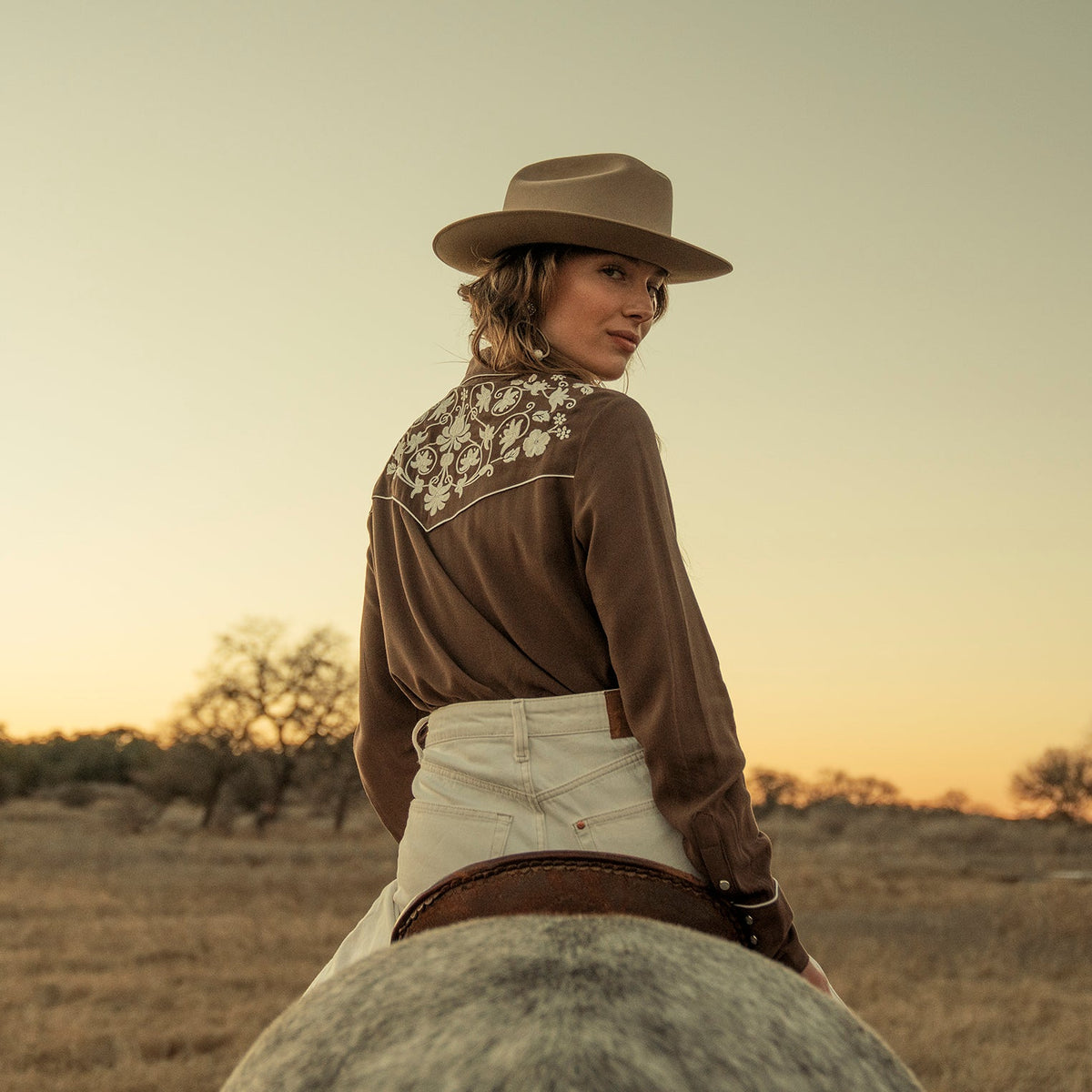 Classic Western Snap Shirt Brown
