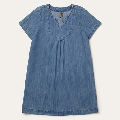 Denim Swing Dress Blue