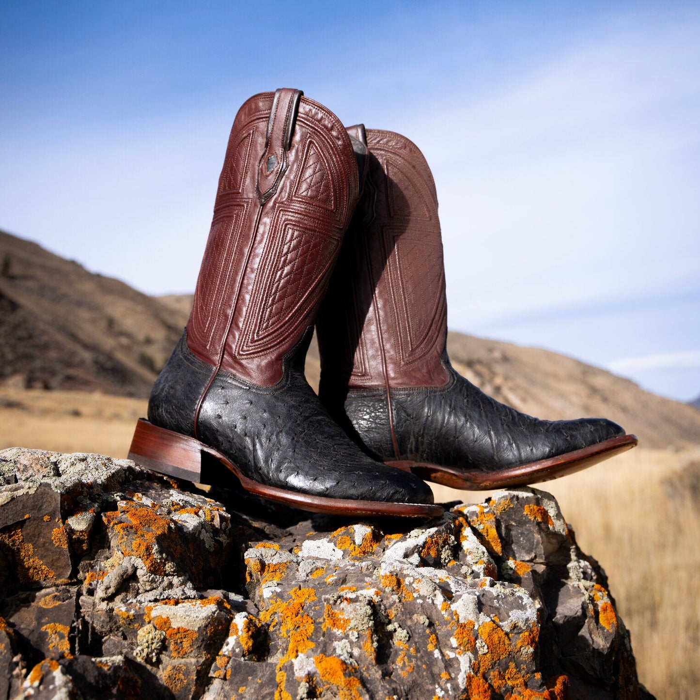Dillon Ostrich Boots Black