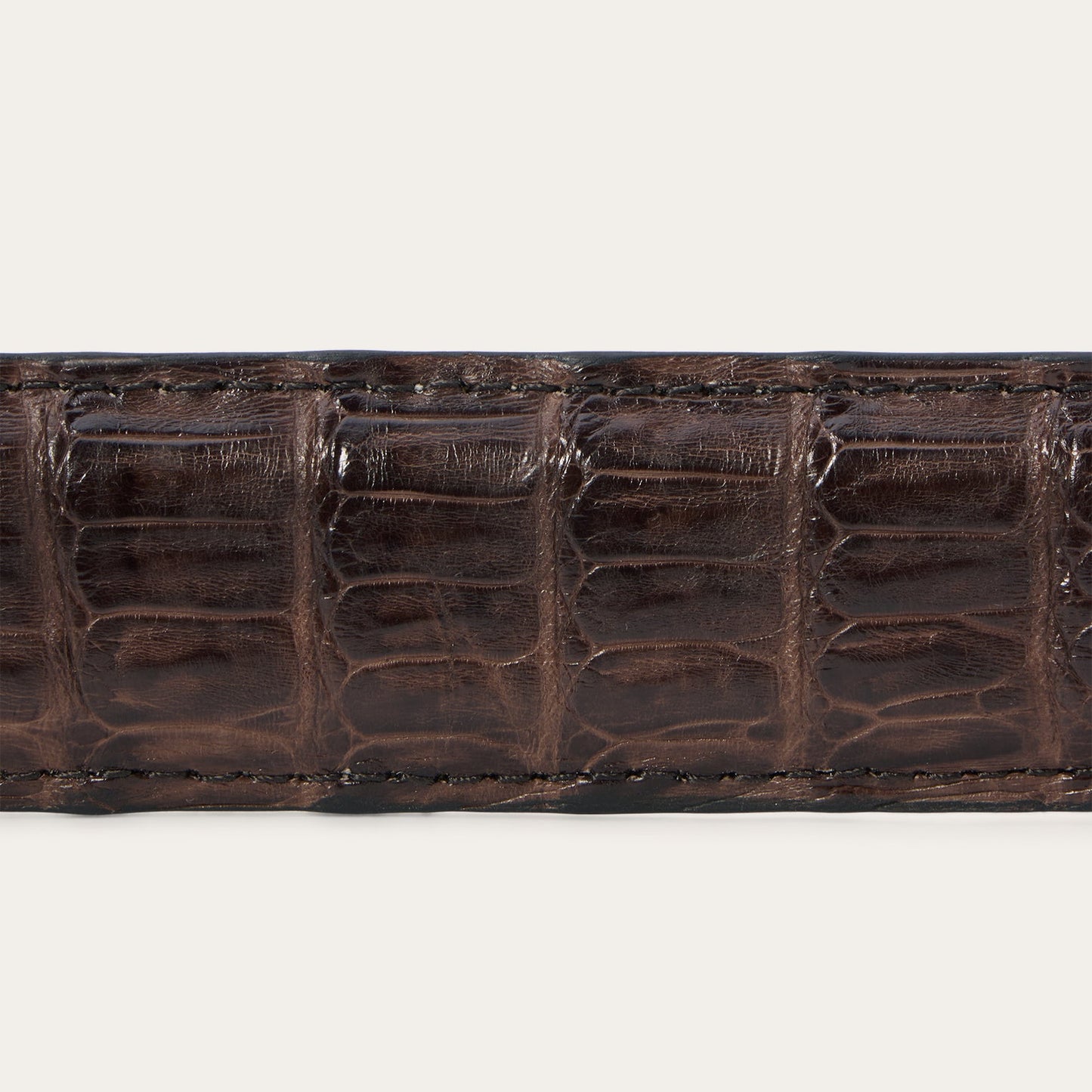 Caiman Western Tab Belt - 1 1/4" Width Cigar Classic