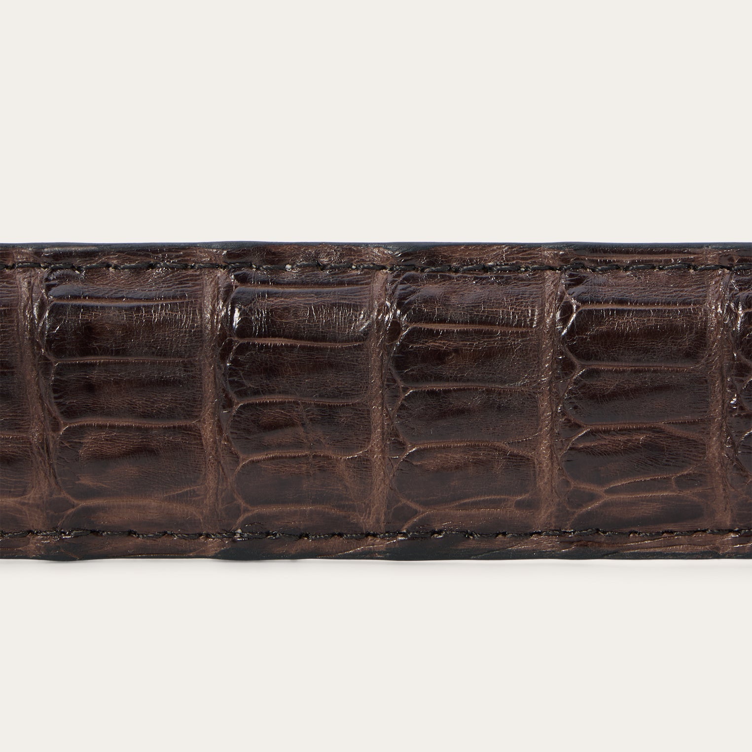 Caiman Western Tab Belt - 1 1/4" Width Cigar Classic