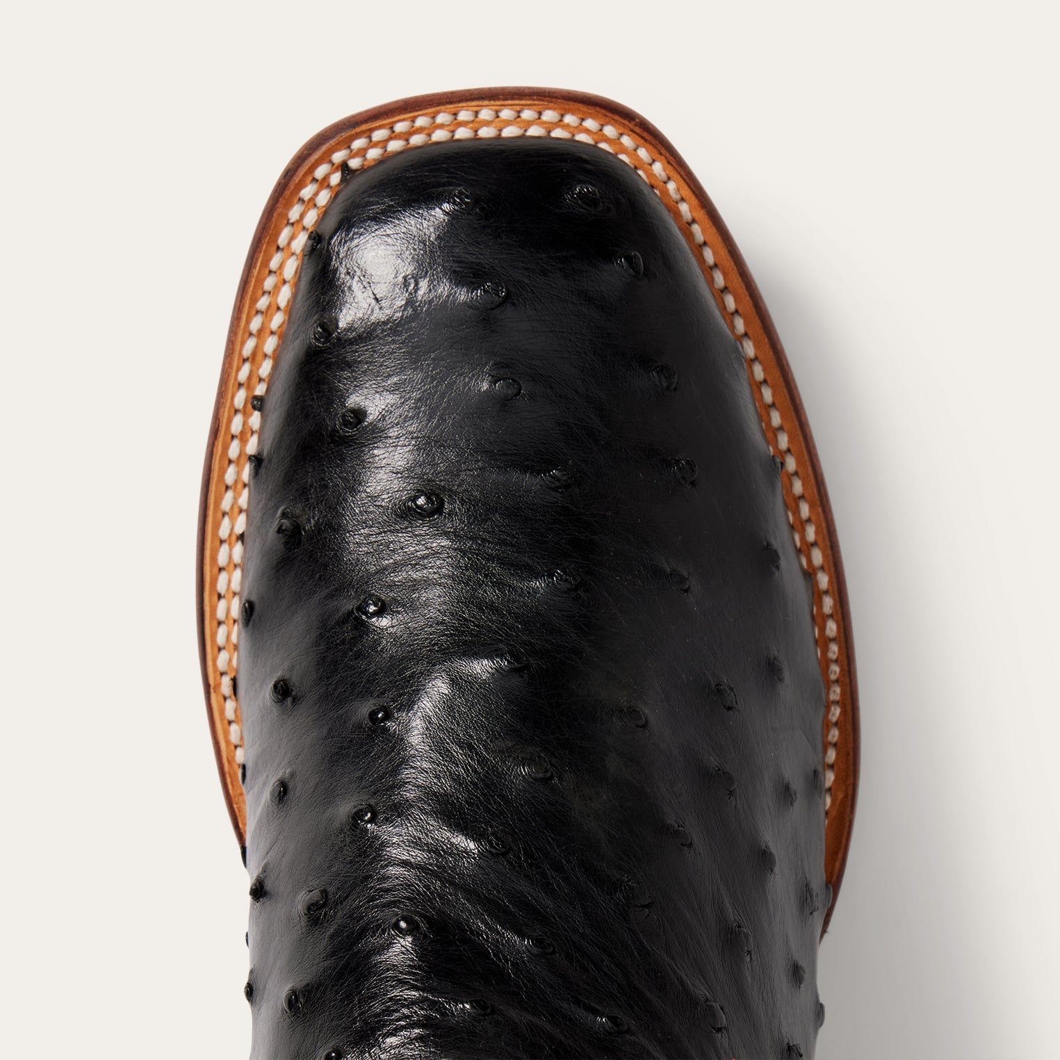 Ozzy Ostrich Boot Black