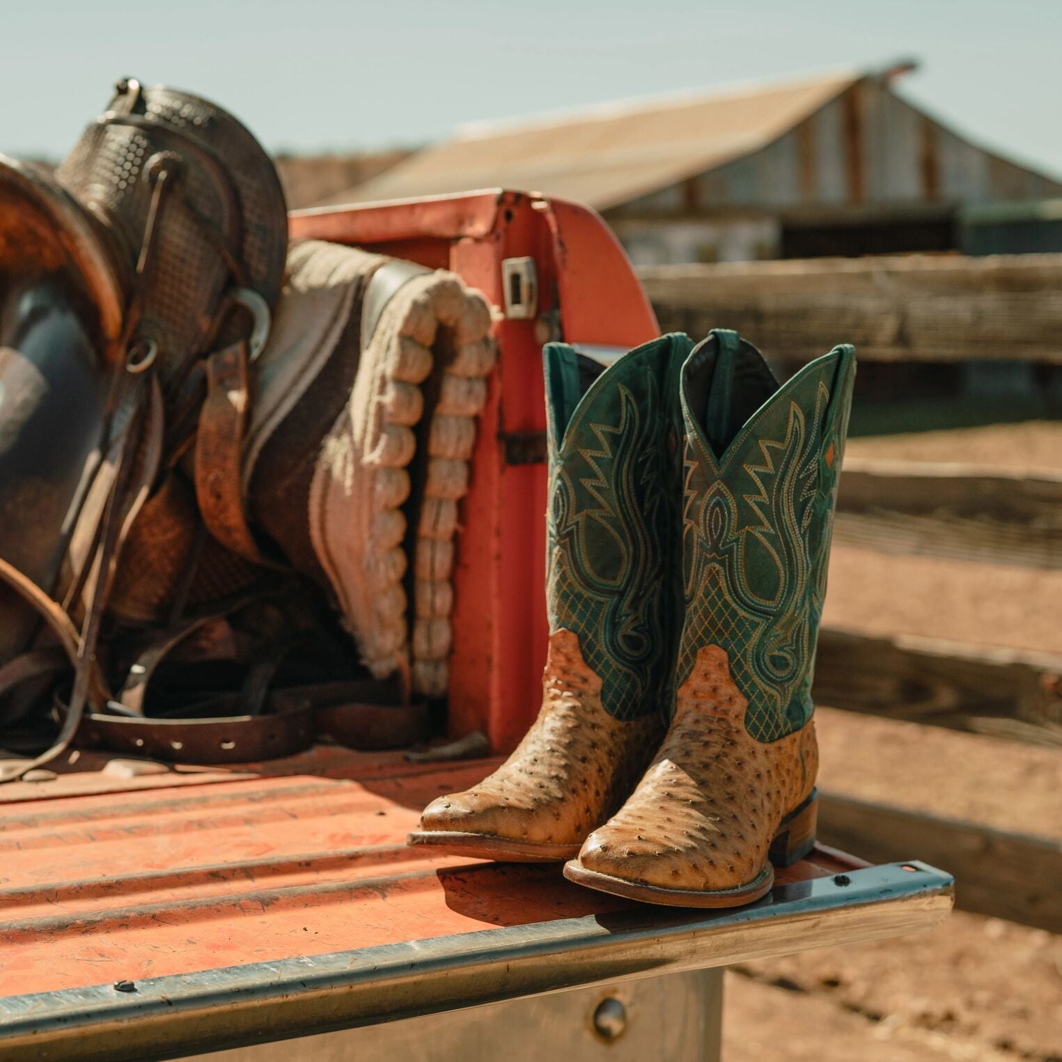 Ozzy Ostrich Boot Tan