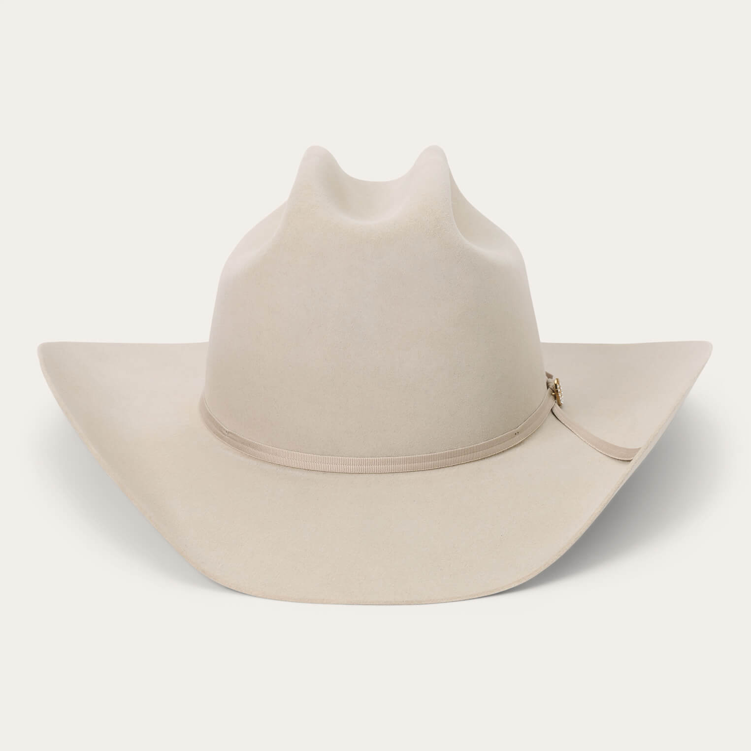 Regal 6X Cowboy Hat Silverbelly