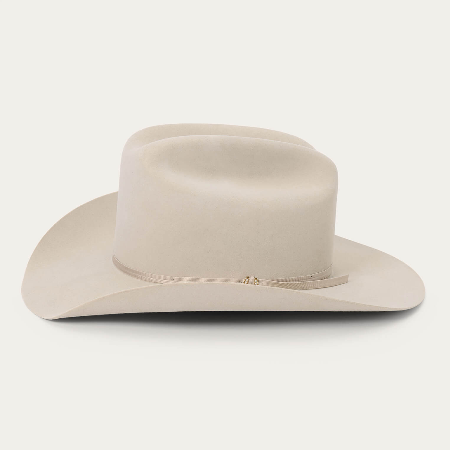 Regal 6X Cowboy Hat Silverbelly