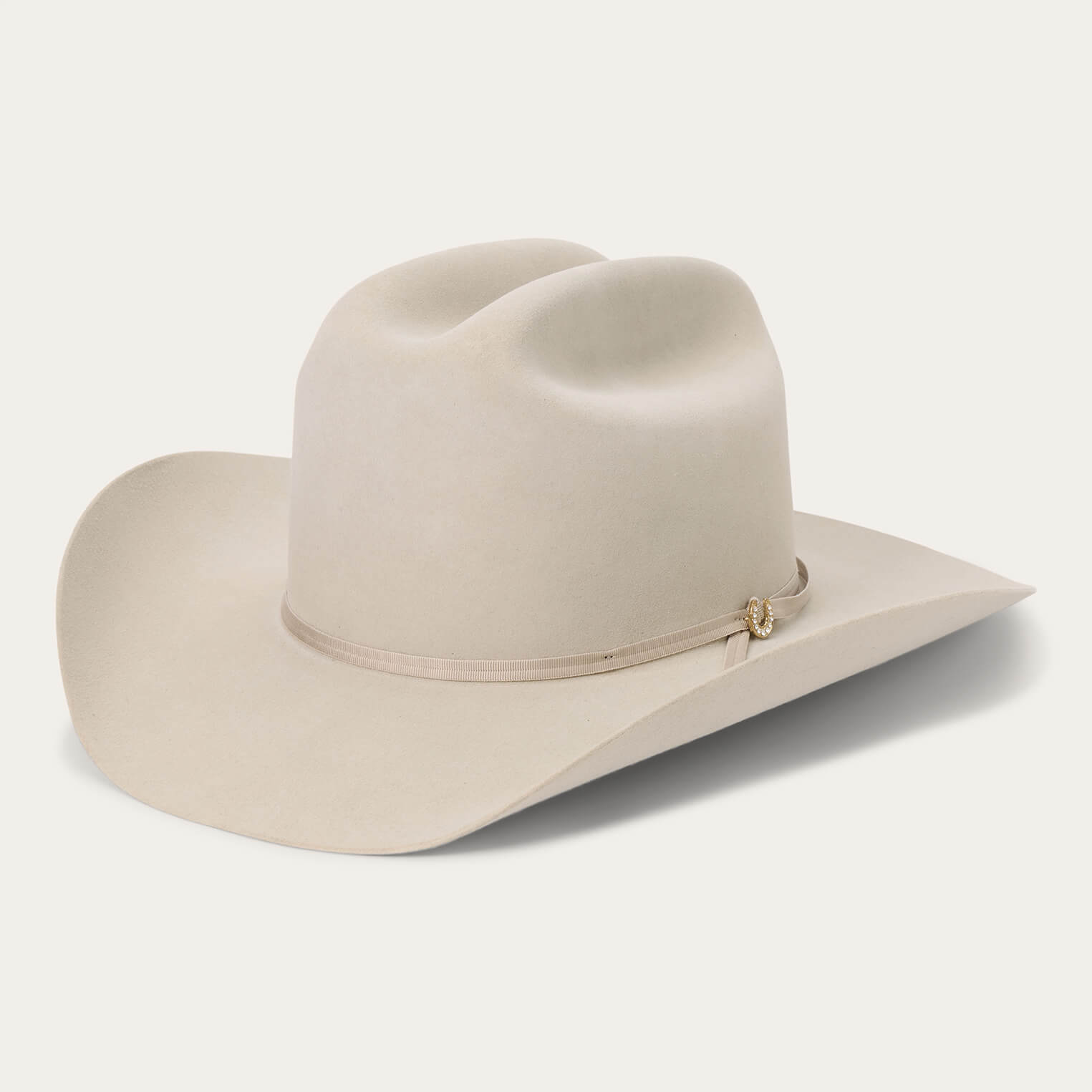 Regal 6X Cowboy Hat Silverbelly