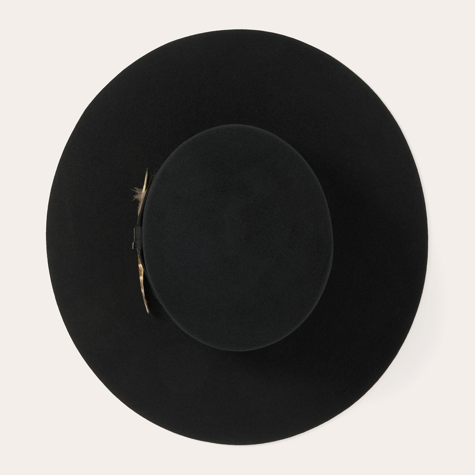 Folklore Black