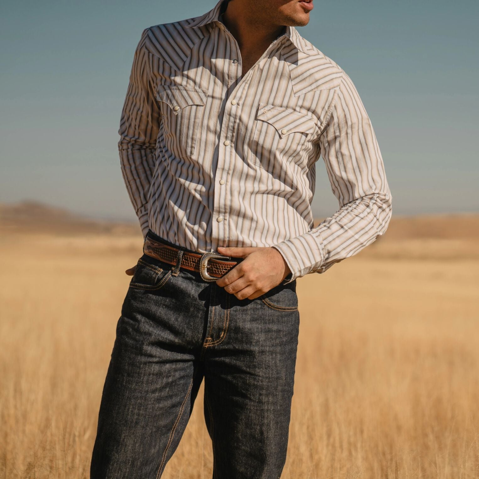 Ombre Stripe Western Shirt Brown