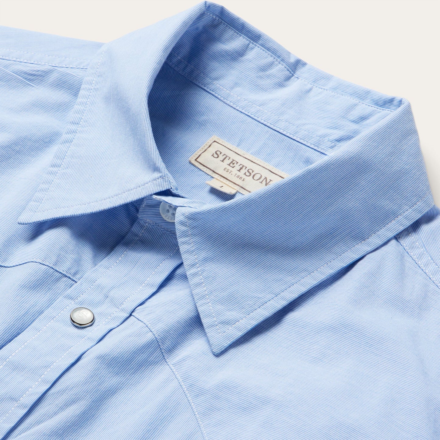 Fine Line Stripe Western Shirt Blue