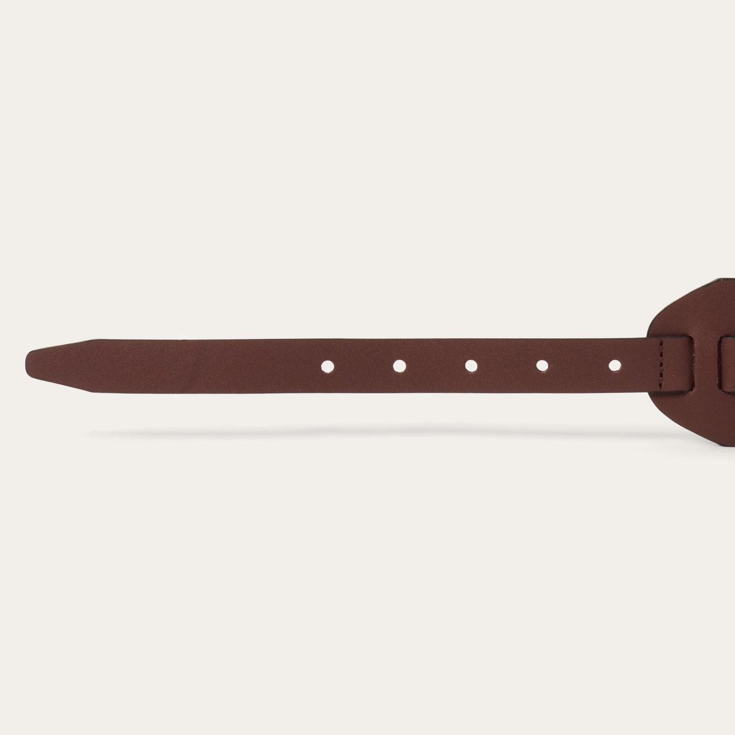 Southwestern Concho Wide Belt Brown