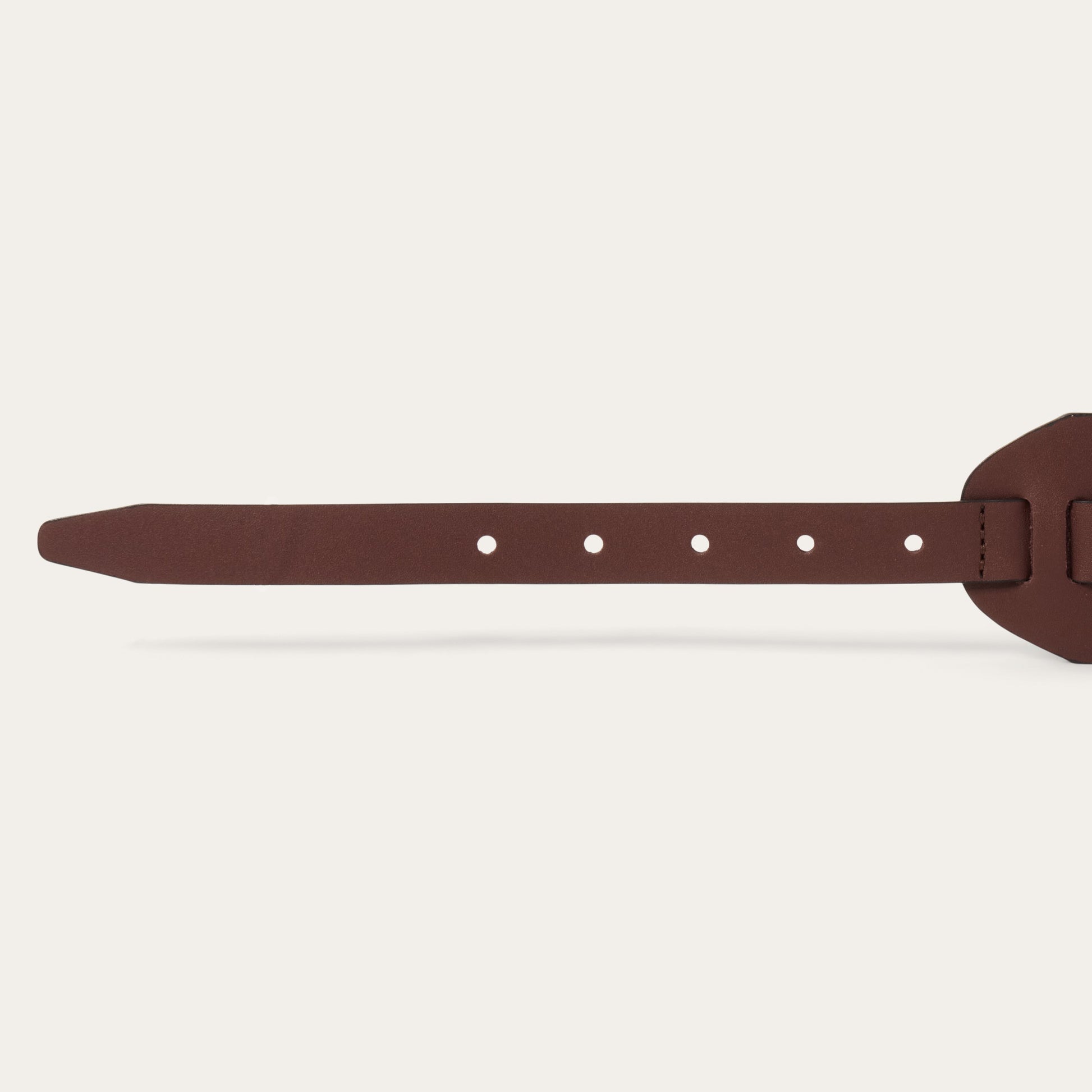 Southwestern Concho Wide Belt Brown