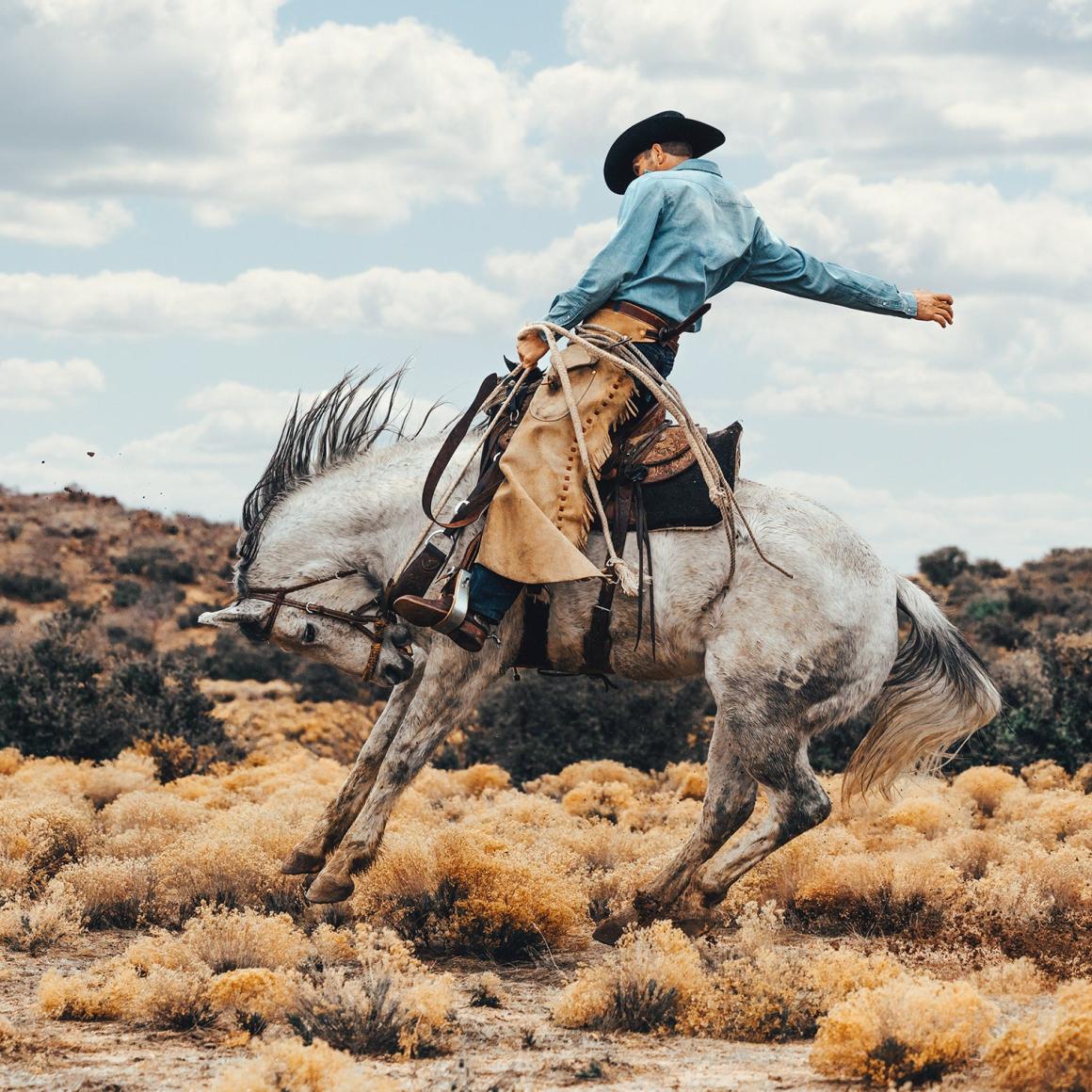 Long-Sleeved Denim Shirt Blue | Men Stetson Western Shirts