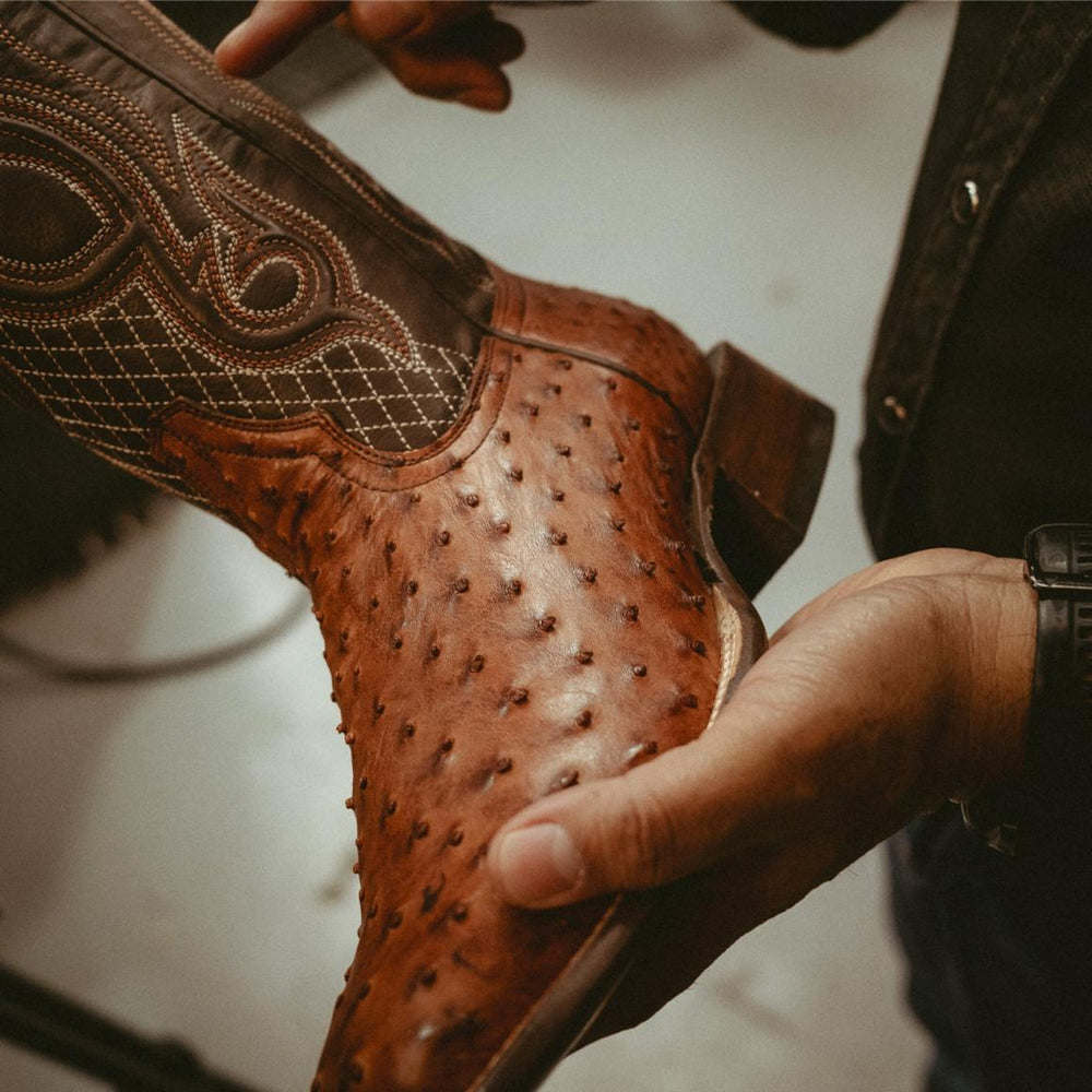 Ozzy Ostrich Boot Brown | Men Stetson Western