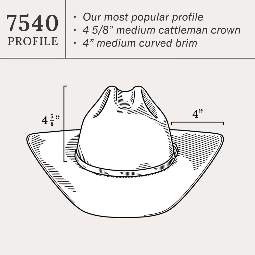 Shasta 10X Premier Cowboy Hat Mist Grey | Men/Women Stetson Western