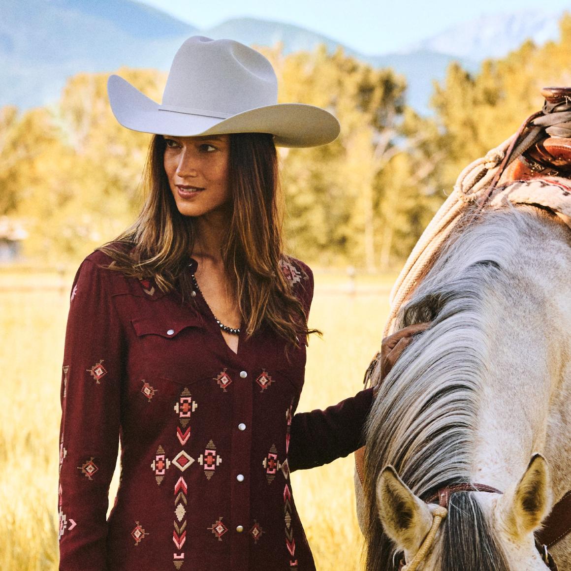 Skyline 6X Cowboy Hat Silver Grey | Men/Women Stetson Western